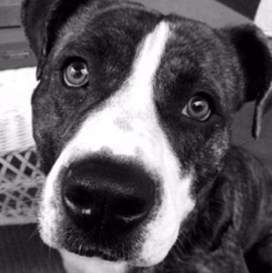 Meet your Posher, Patricia